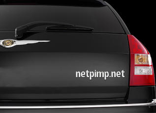 Netpimp Logo
